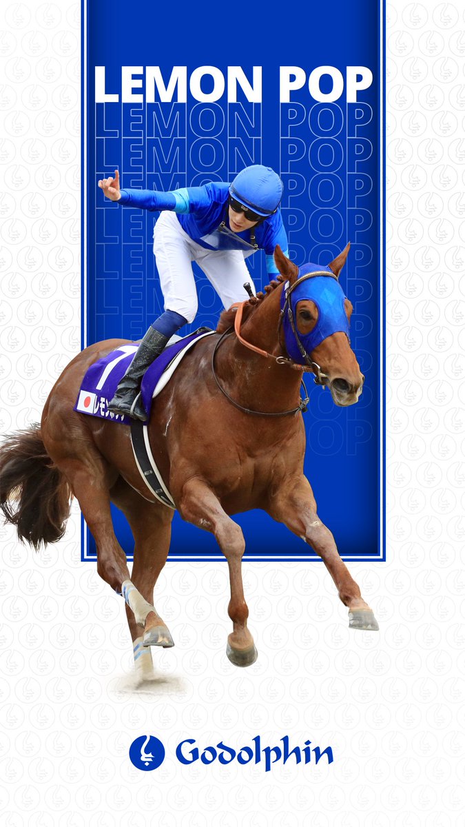 競馬　レモンポップ　ブルゾン　ゴドルフィン 新品】ブルゾン ジャケット 競馬 レモンポップ JRA 引退記念