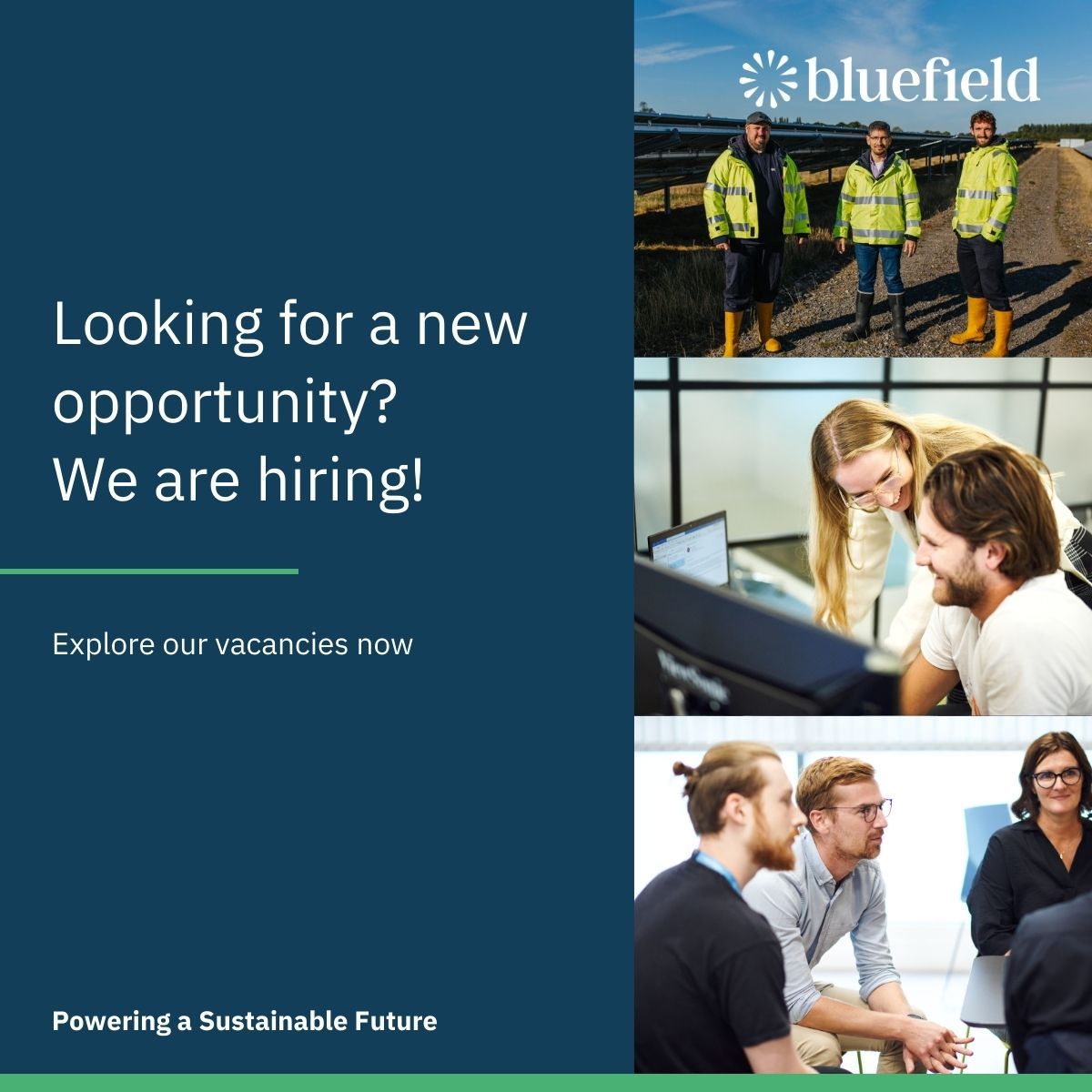 BluefieldLLP's tweet photo. We believe our teams’ talent and dedication are what’s driving our #success. Learn about our range of #vacancies on our #careers page now.
https://t.co/qwik8TiWve https://t.co/Xf6qt4hJMK