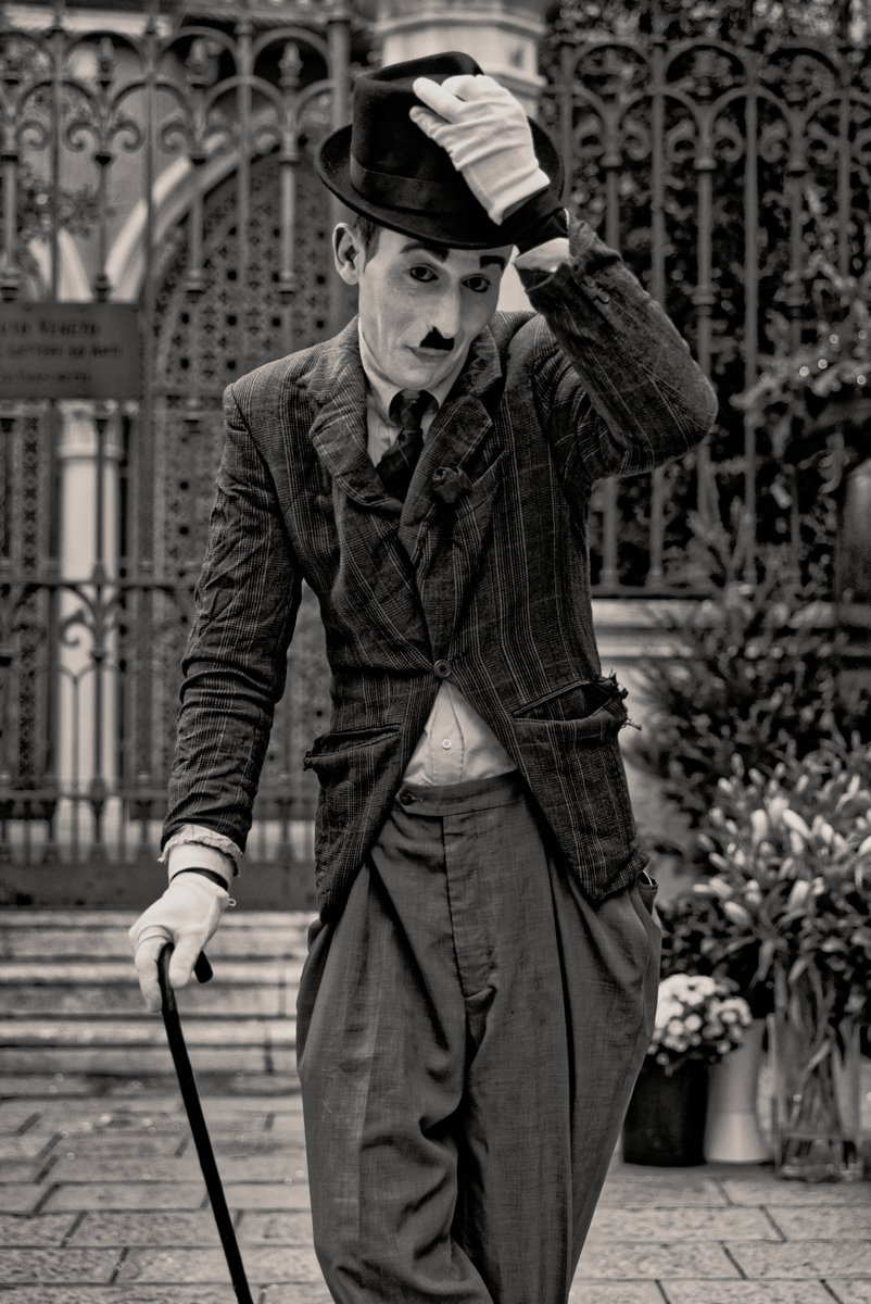 calice gallery tweet media