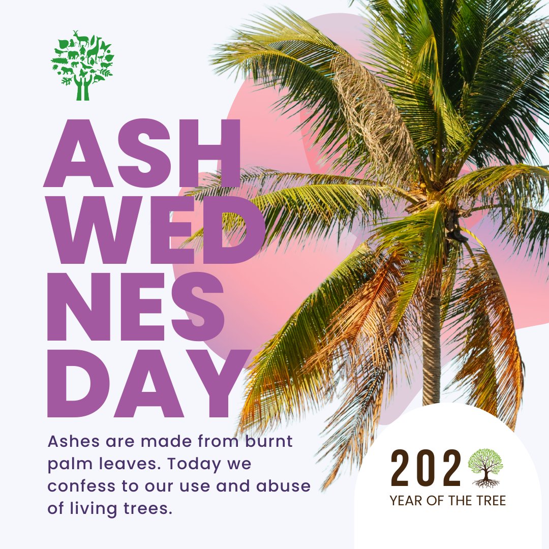 Today we begin our 40 day Lenten journey #202tree
Today you will be marked wit the sign of the cross, with ashes which are made from the burned palm leaves from last year’s Palm Sunday. 
We confess our abuse of living trees, deforestation and destruction of the eco-systems