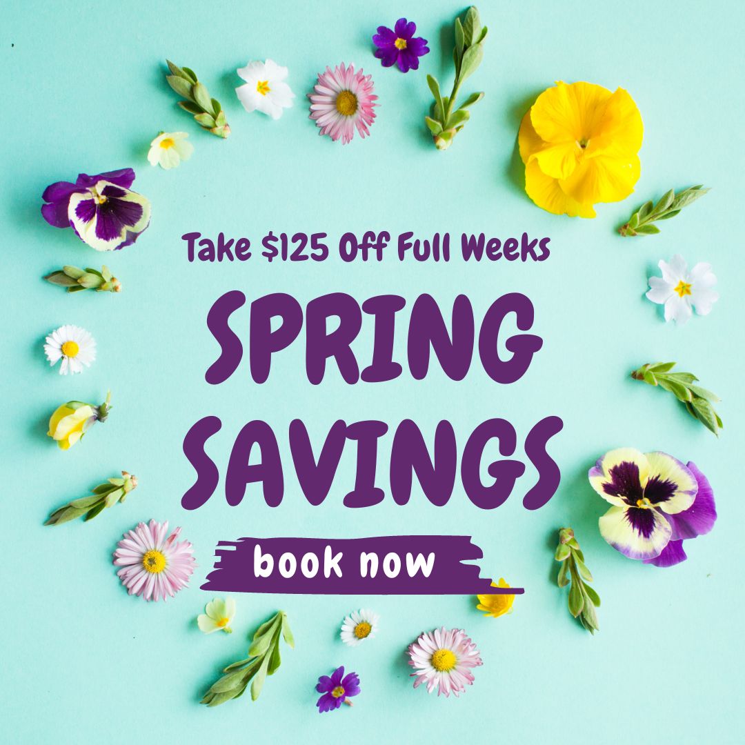 Atlantic Realty on Twitter "Spring Savings!! Save 125 on Spring Weeks