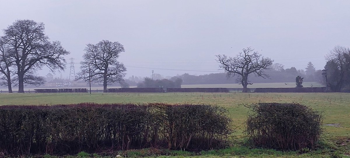 kuha4harrow's tweet photo. Harrovians are blessed with beautiful parks around us.
This is another misty & crispy morning in #Harrow.
I feel refreshed after my morning stroll💚.
#regularexercises❤️
#dailywalk 🙏
#MentalHealthMatters ��️
#ProudofPinner ❤️ #ProudofHarrow👍🇬🇧 https://t.co/QLsdX9HK3G