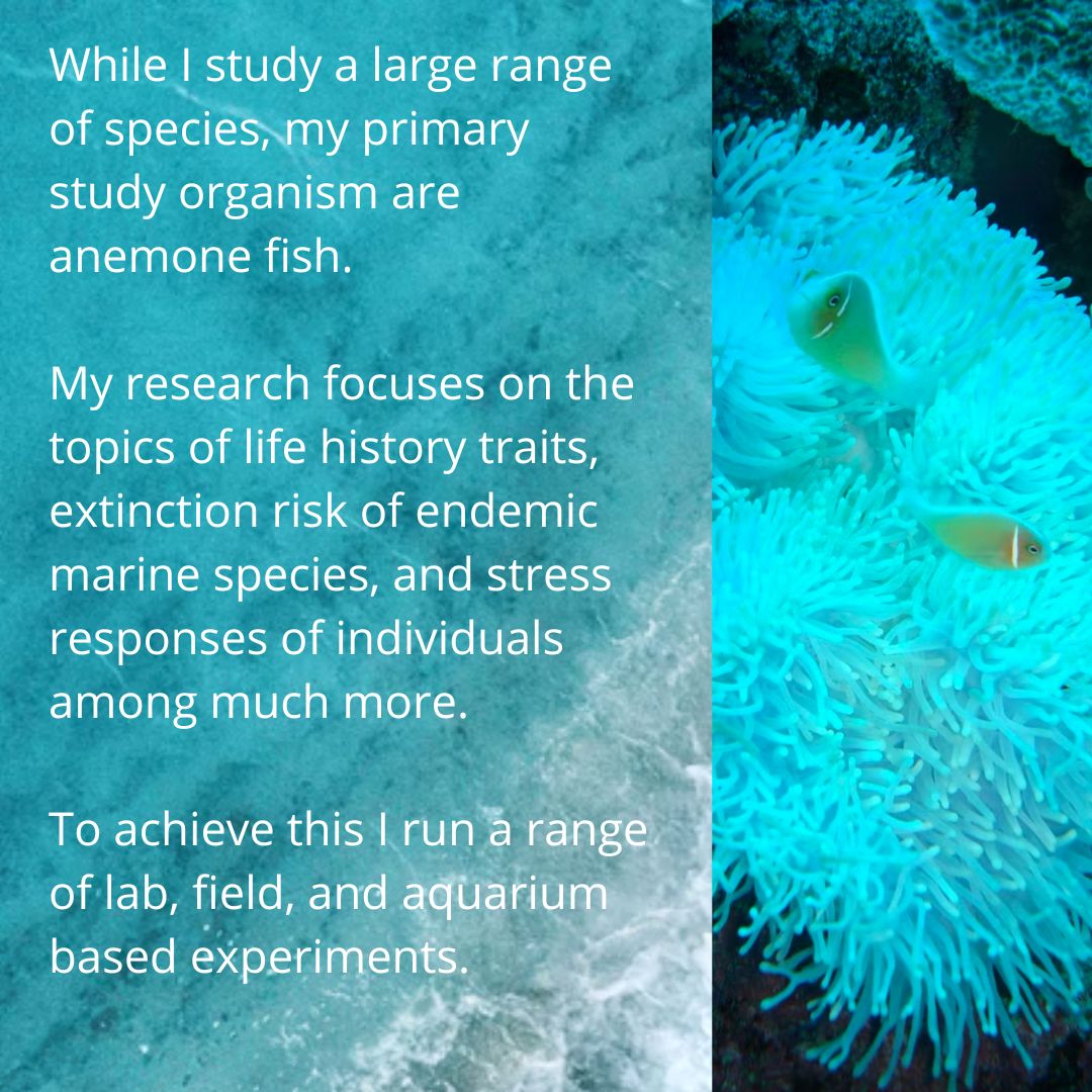 Meet the team! Introducing, Dr Jean-Paul Hobbs our final team Leader for the Nemo Hotel Project. Here’s What JP has to say…

#reef #nemo #clownfish #conservation #reefrestoration #restoration #gbr #coral #coralreefs #habitatrestoration #bleaching #oceanconservation