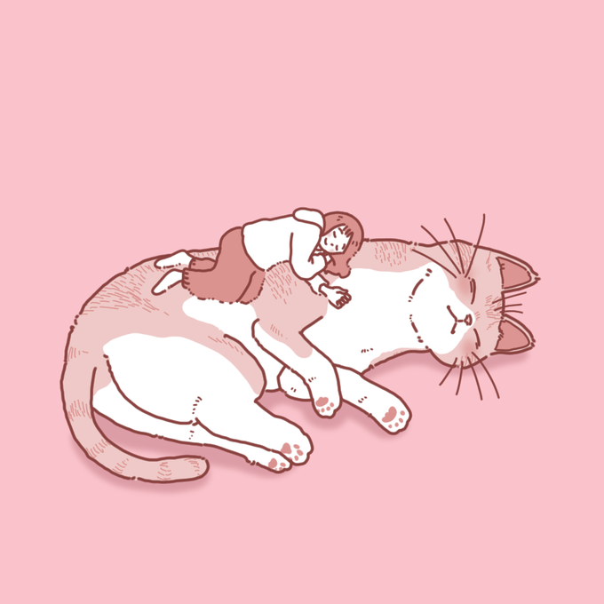 ぽかぽか#猫の日#今日のネコです 