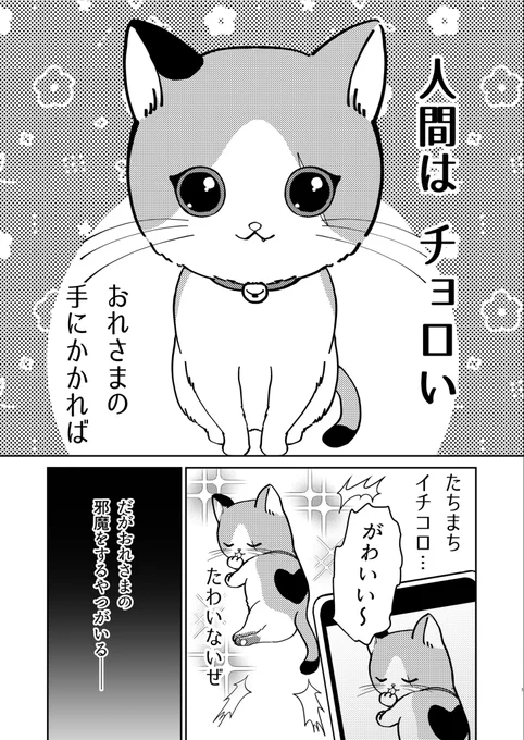 捨て猫と老猫が家族になる話(1/6)

#漫画が読めるハッシュタグ
#猫の日 