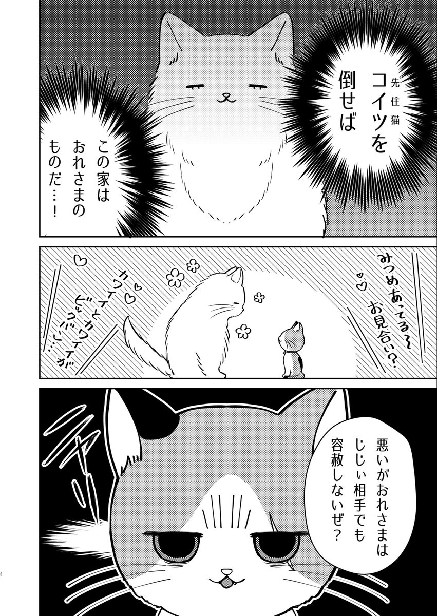 捨て猫と老猫が家族になる話(1/6)

#漫画が読めるハッシュタグ
#猫の日 