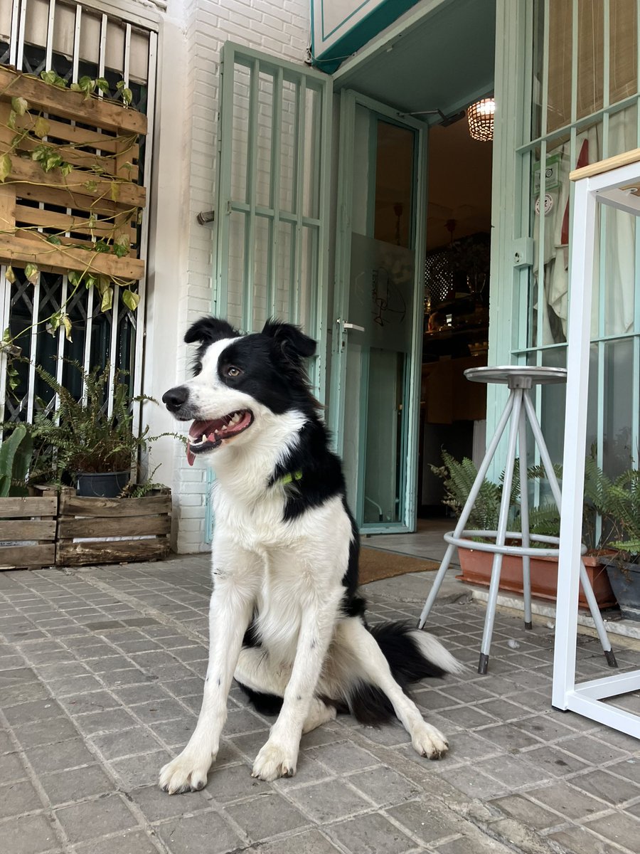 MacarenayPaco's tweet photo. Buenos días, ahora estamos en un #bar del #barriodeNervión de #Sevilla #Presenteperfecto #fundacionvedruna #lascarmelitas https://t.co/eurBba5F12