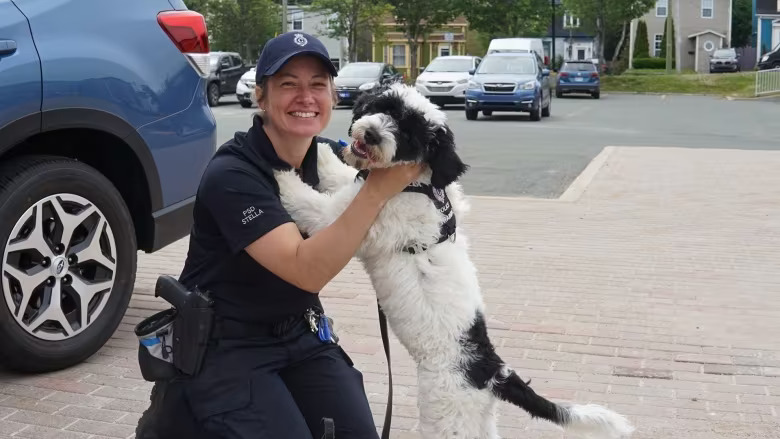 NEW | Stella sidelined: Internal RNC emails show all recent community support requests denied

cbc.ca/1.6749090
