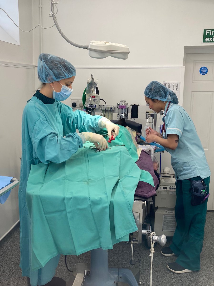 BarrierVets's tweet photo. New exciting career opportunities are now available at Barrier Vets!
For more info, follow these links:
https://t.co/ptwffx9xxe
and
https://t.co/v3CRa6rG6N

#VetCareer #VetJobs #animals https://t.co/67OH2PoQ1q