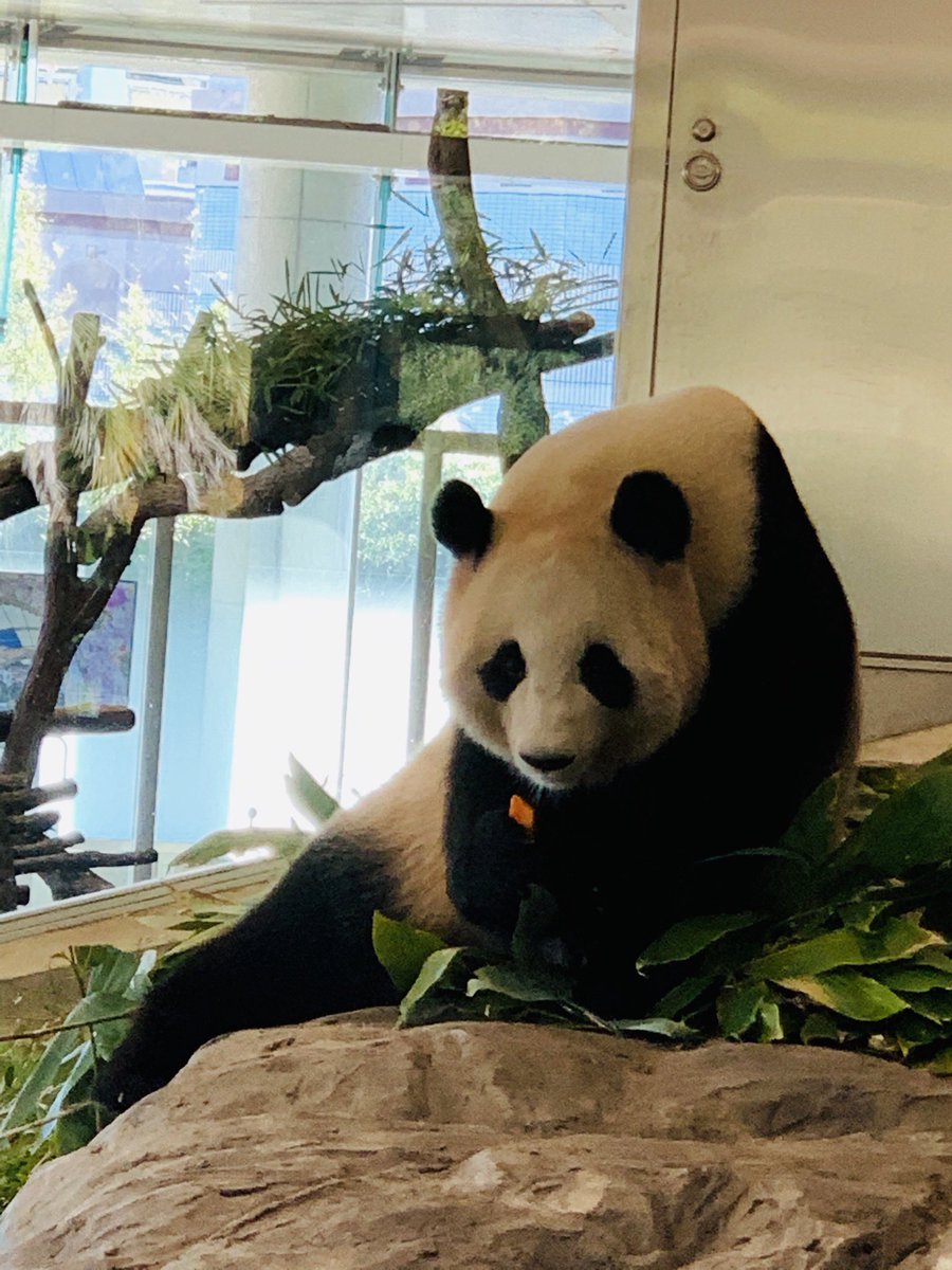 「ありがとう永明、いってらっしゃい桜浜、桃浜」と書かれた旗（美品） 2025年最新】ありがとう永明いってらっしゃい桜浜桃浜の人気