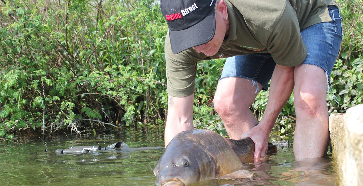 AnglingIntMag's tweet image. ANGLING DIRECT DELIVERS GROWTH DESPITE 'SIGNIFICANT' HEADWINDS

Read more at: angling-international.com/2023/02/22/ang…