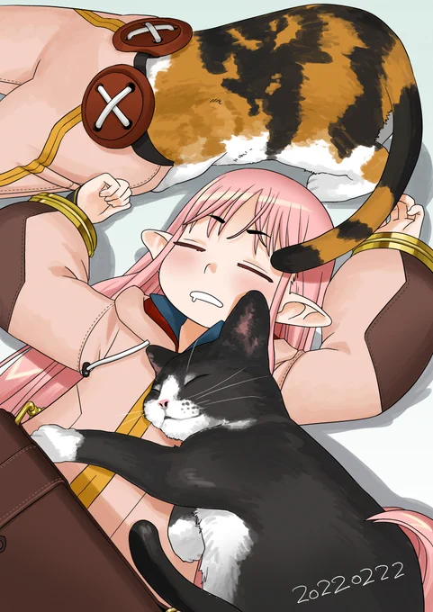 ネコの日再掲。#猫の日 