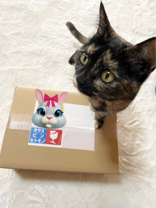 Twitterのコスプレ画像17