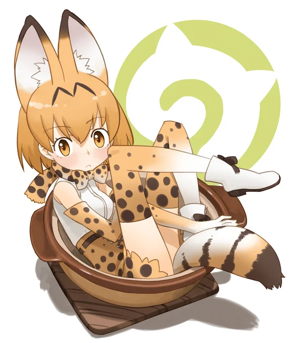 ネコの日再掲。#猫の日 