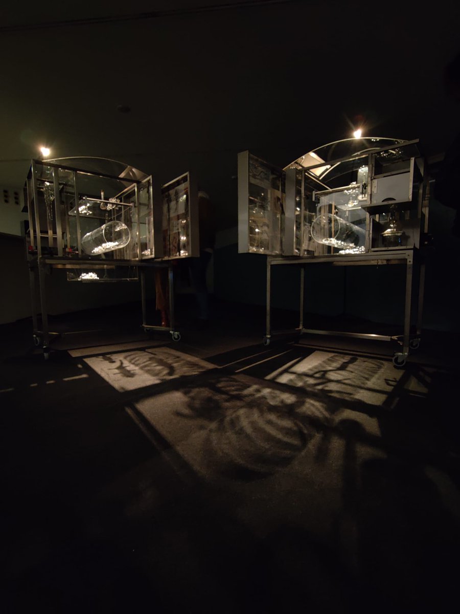 robertina sebjanic tweet media