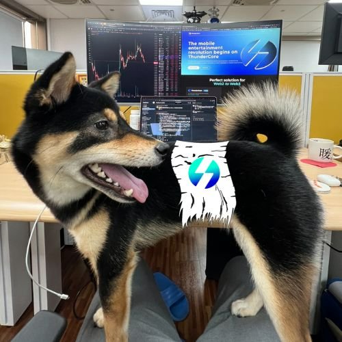 Chris Wang tweet media