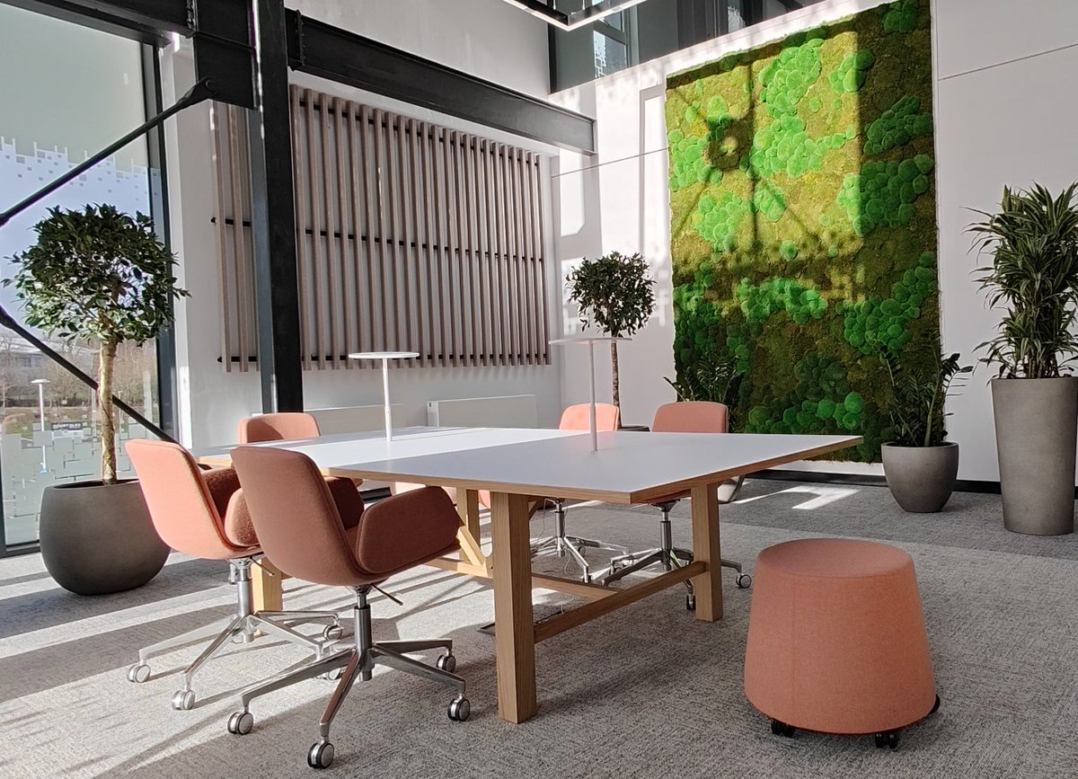 design_azds's tweet image. Bringing the outside in with our nature inspired wellbeing meeting space.

#learningspaces #schoolinteriors #schooldesign #schoolfurniture #university #meetingroom #nature #wellbeing #outsidein #designsolutions #teamwork