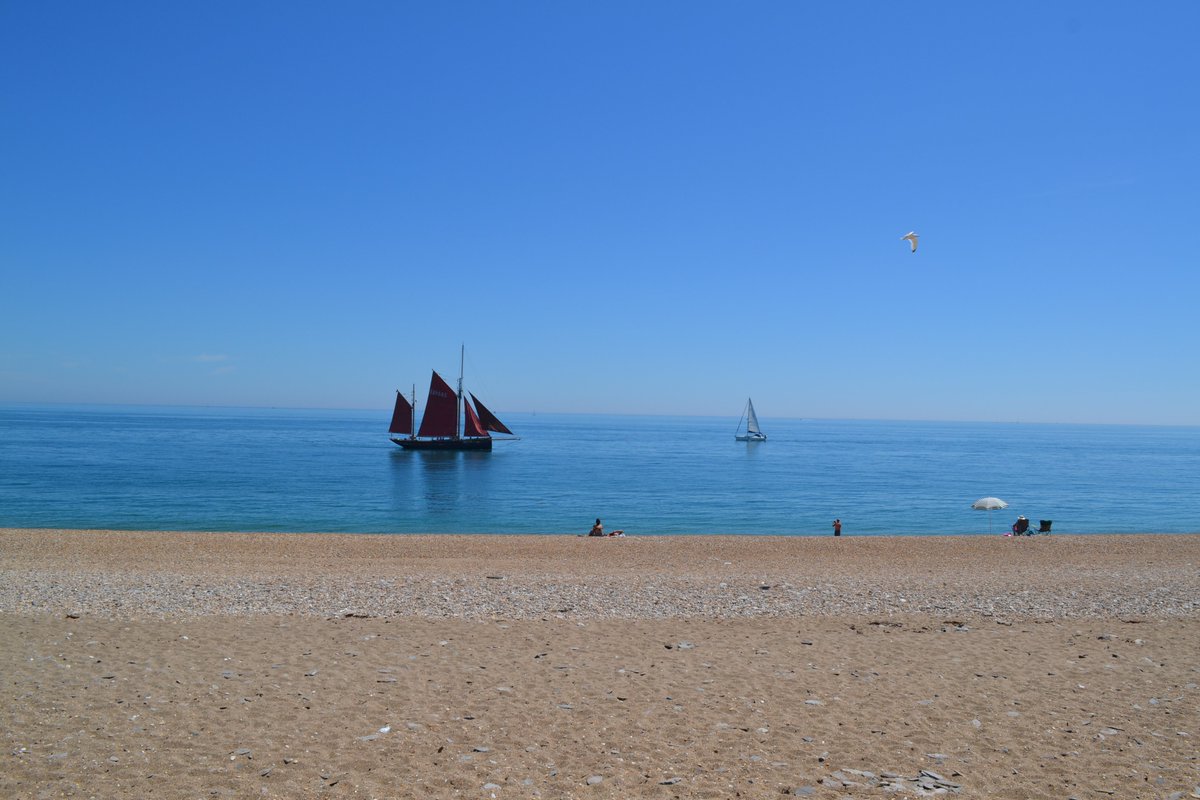 Did you know that, on top of being an extremely picturesque and popular beach, Slapton Sands plays an important part in the survival of some of the UK’s rarest flora & fauna?🌿It’s why it’s one of our favourite beaches near #Dartmouth! bit.ly/3Z3lCxr #YearOfTheCoast2023