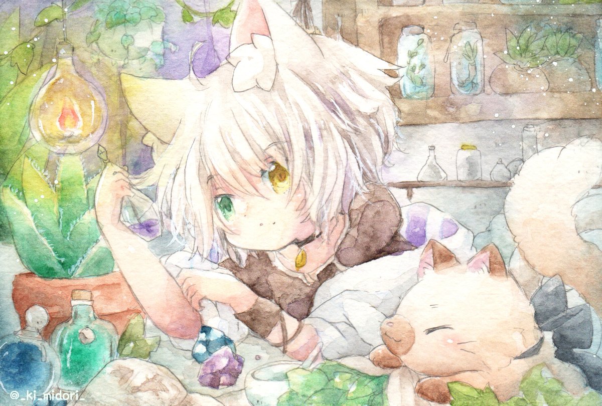 heterochromia animal ears cat ears 1boy male focus tail cat boy  illustration images