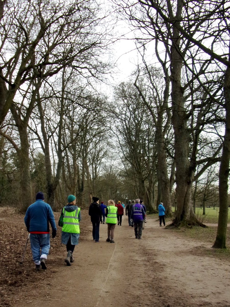 Solihull Tree Wardens tweet media