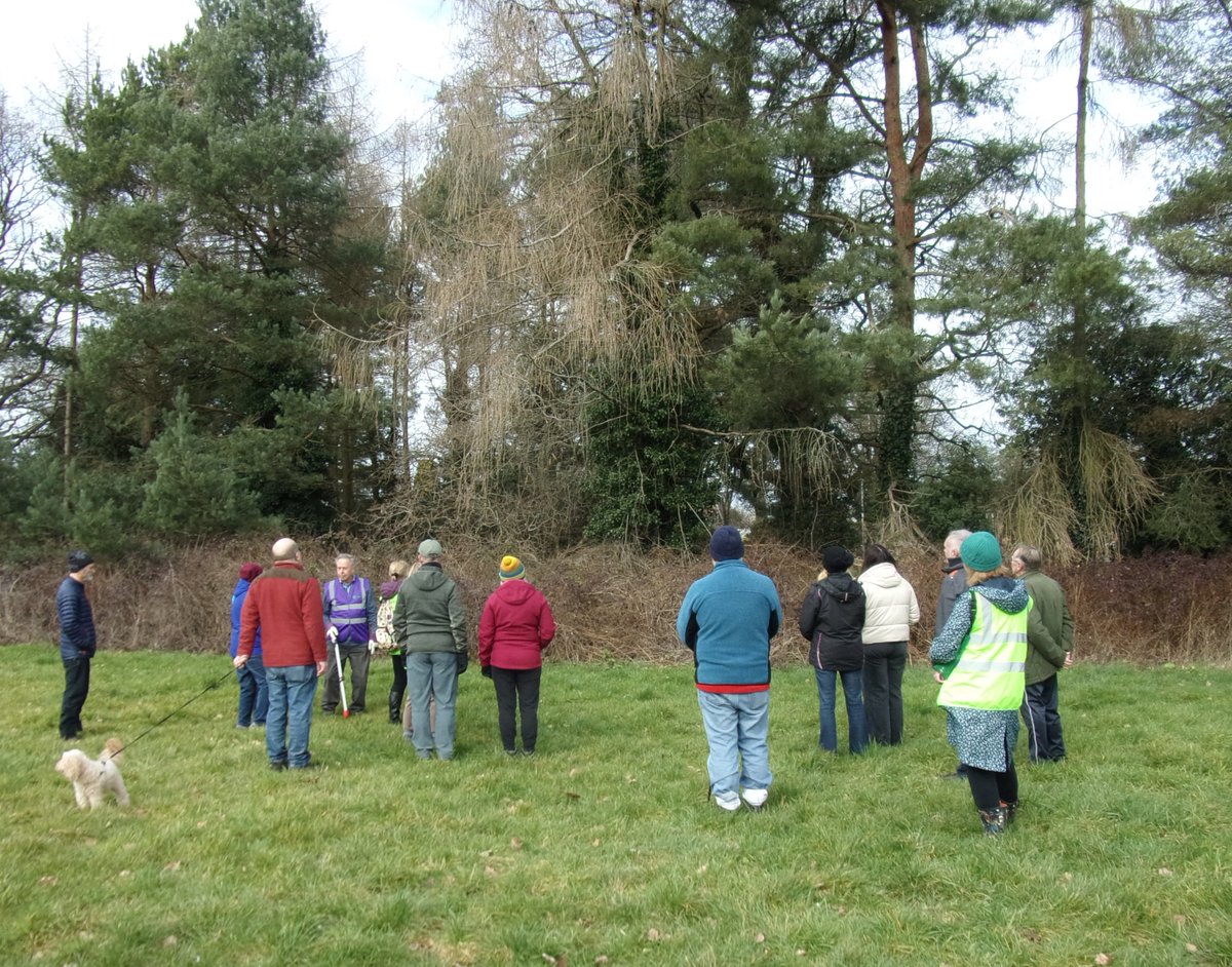 Solihull Tree Wardens tweet media