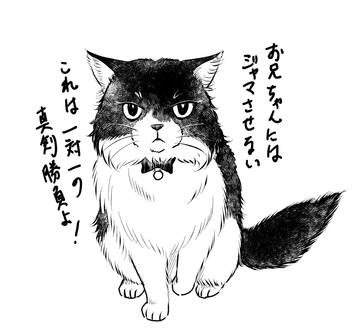 🐈目黒川家のネコの掟🐈

おもちゃで遊ぶのは1匹ずつ
愛情を独占するべし

イラストもこんな感じに描く予定🐈

#ネコの日
#ネコの掟 
