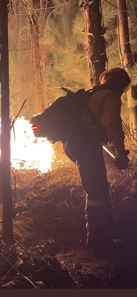 MangosComodin's tweet photo. @fotosvdea @Mariaguapetcuen @vanesamolinafde @BomberoForestaI @DutyFire Correcto, ya estamos comercializando nuestros productos de la gama Joker. Al igual que nuestra luz de seguridad posicional. 👌💪🇪🇸 @SICUR_ https://t.co/lBjgyzmUzX