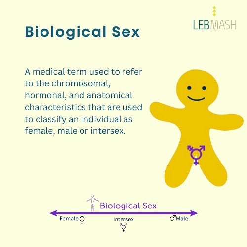 LebMASH_'s tweet photo. however for many others, including trans*, non-binary and gender fluid individuals, their assigned sex is not representative of their gender identity. A person’s gender is the complex interrelationship between three dimensions: body, identity, and social gender. #LebMASH https://t.co/Dg0PUIPS9W
