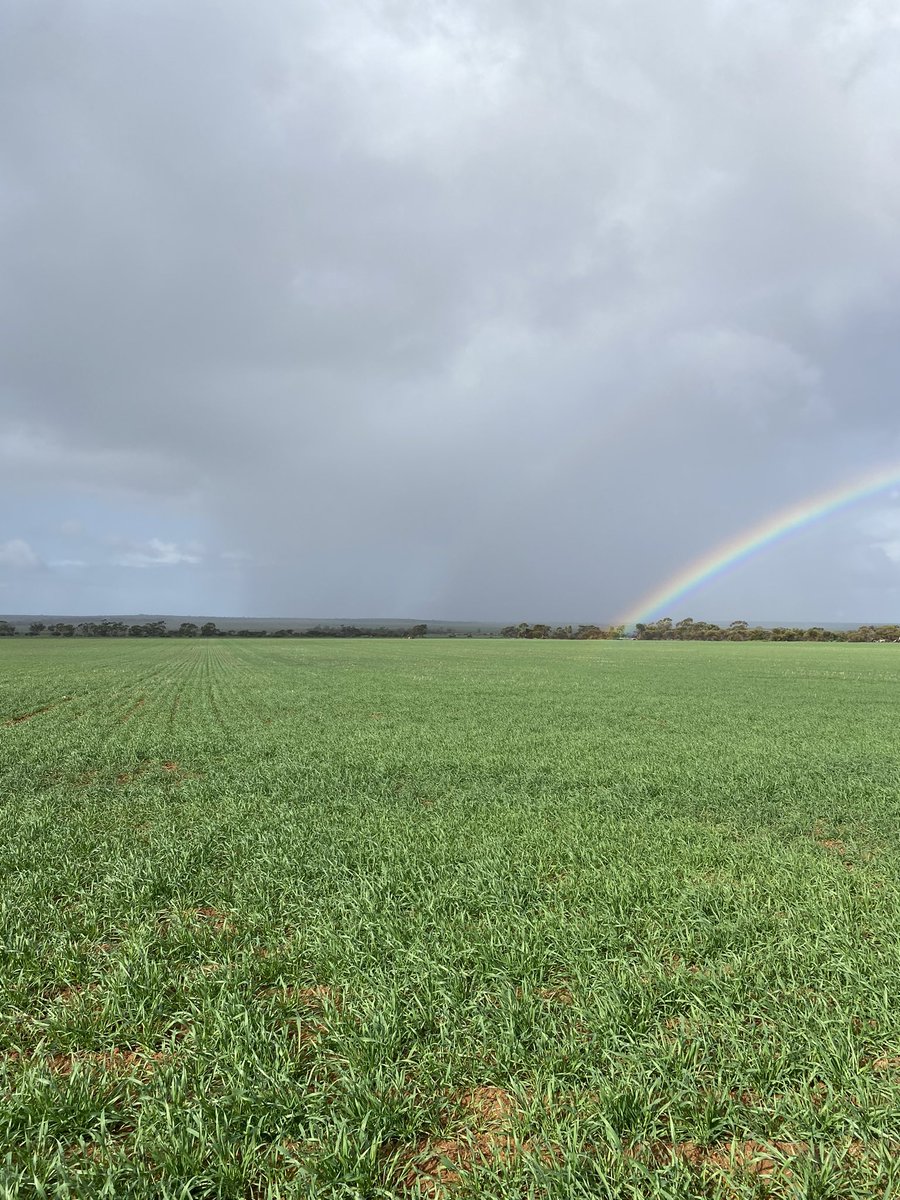 Check out this job on SEEK: seek.com.au/job/60913587?t….   Who wants to move to Morawa 🌾?