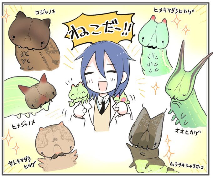 猫です #猫の日 