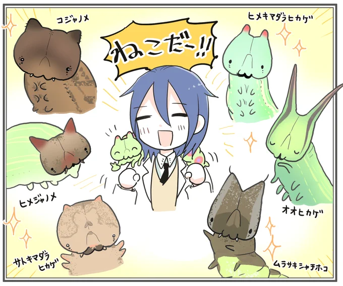 猫です #猫の日 