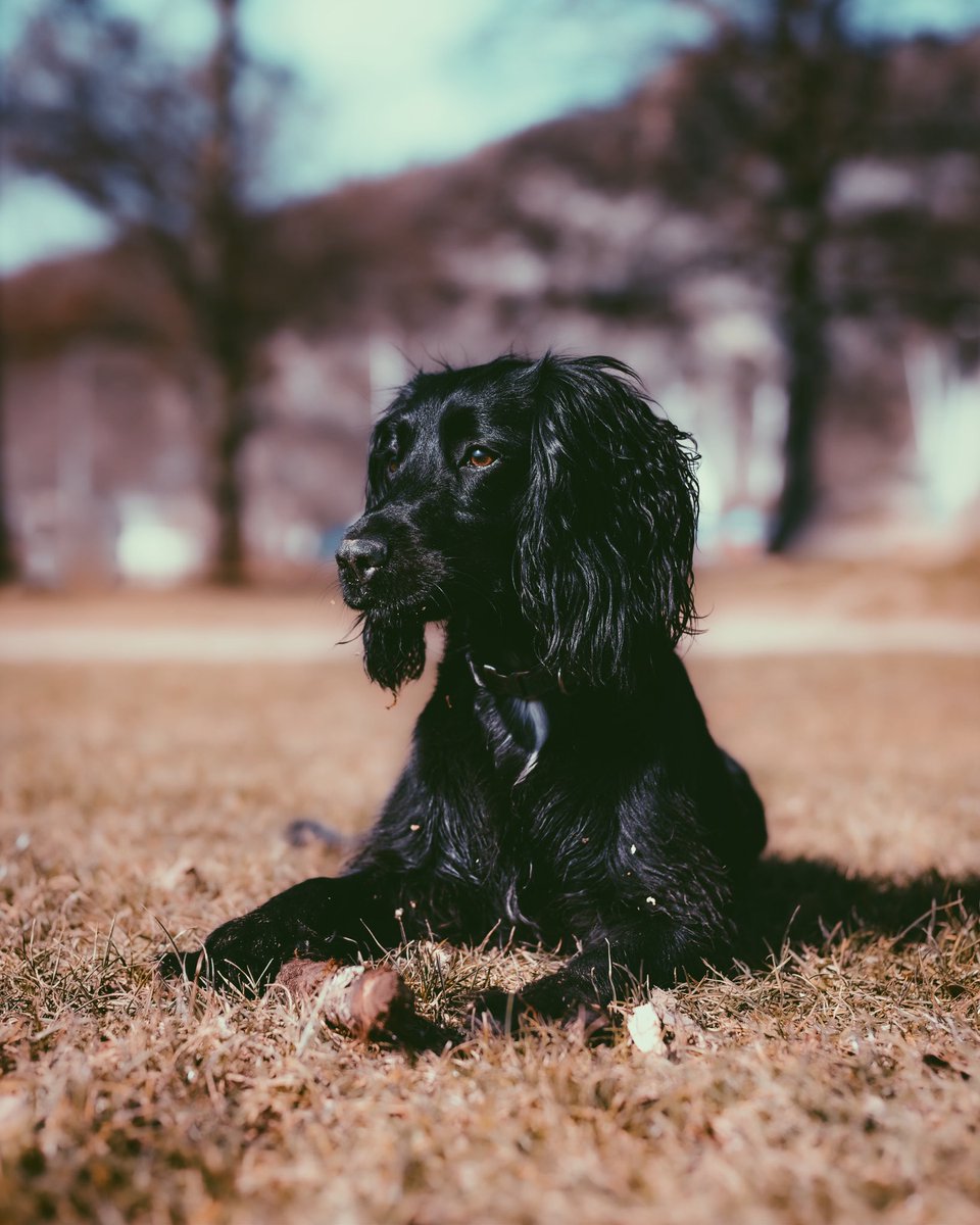 Depth of field 👌🏼