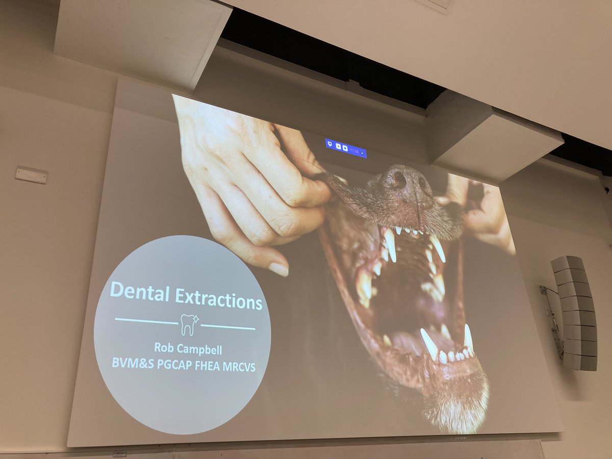 First lecture of the year! 

Rumour has it attending my lectures is like pulling teeth….. 🦷🫠