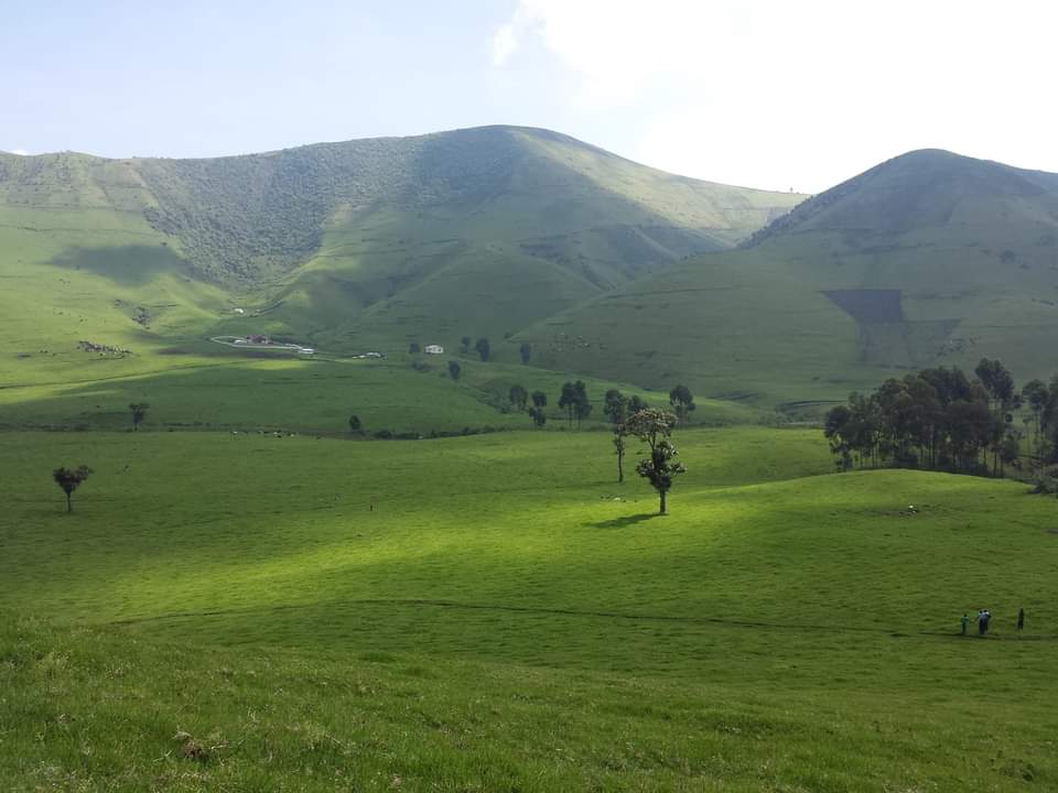 kabumba_justin's tweet photo. #RDC🇨🇩combats FARDC-M23,  la situation est sous contrôle de l'armée. "Je confirme que jusqu'à 12h #Mushaki ,#Sake  et plusieurs villages voisins sont contrôlés par nos #FARDC. Notre armée se comporte très bien. Que la population garde son calme" ( sources locales) https://t.co/HryZL0ef07