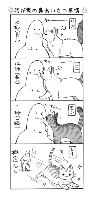 我が家の猫さまと はなあいさつ🐱🌸
#猫の日2023 