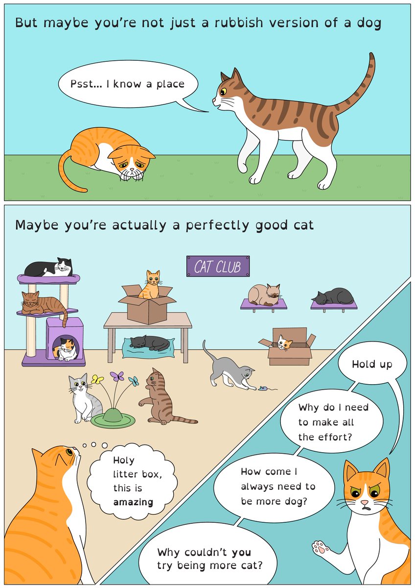 Tzipporah Johnston tweet media