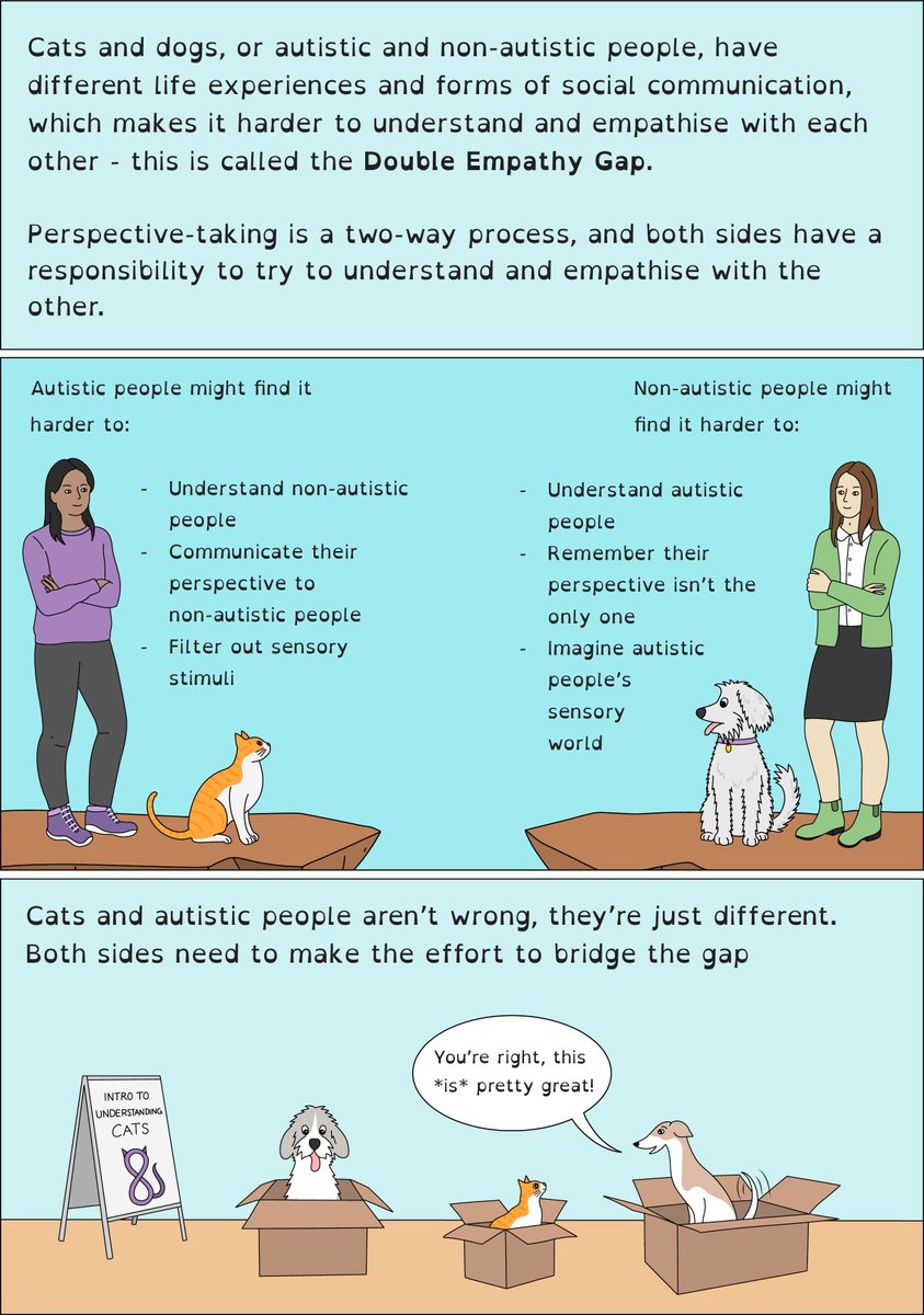 Tzipporah Johnston tweet media