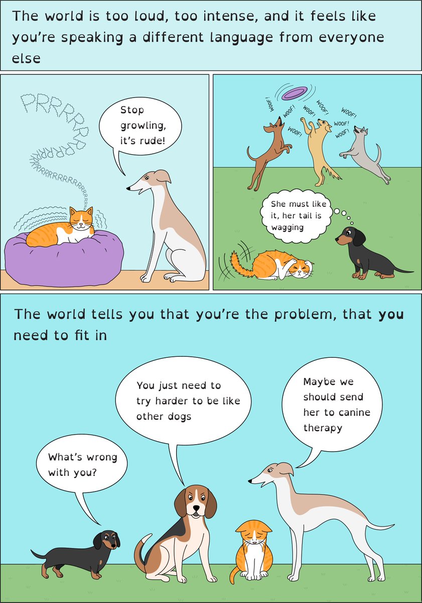 Tzipporah Johnston tweet media