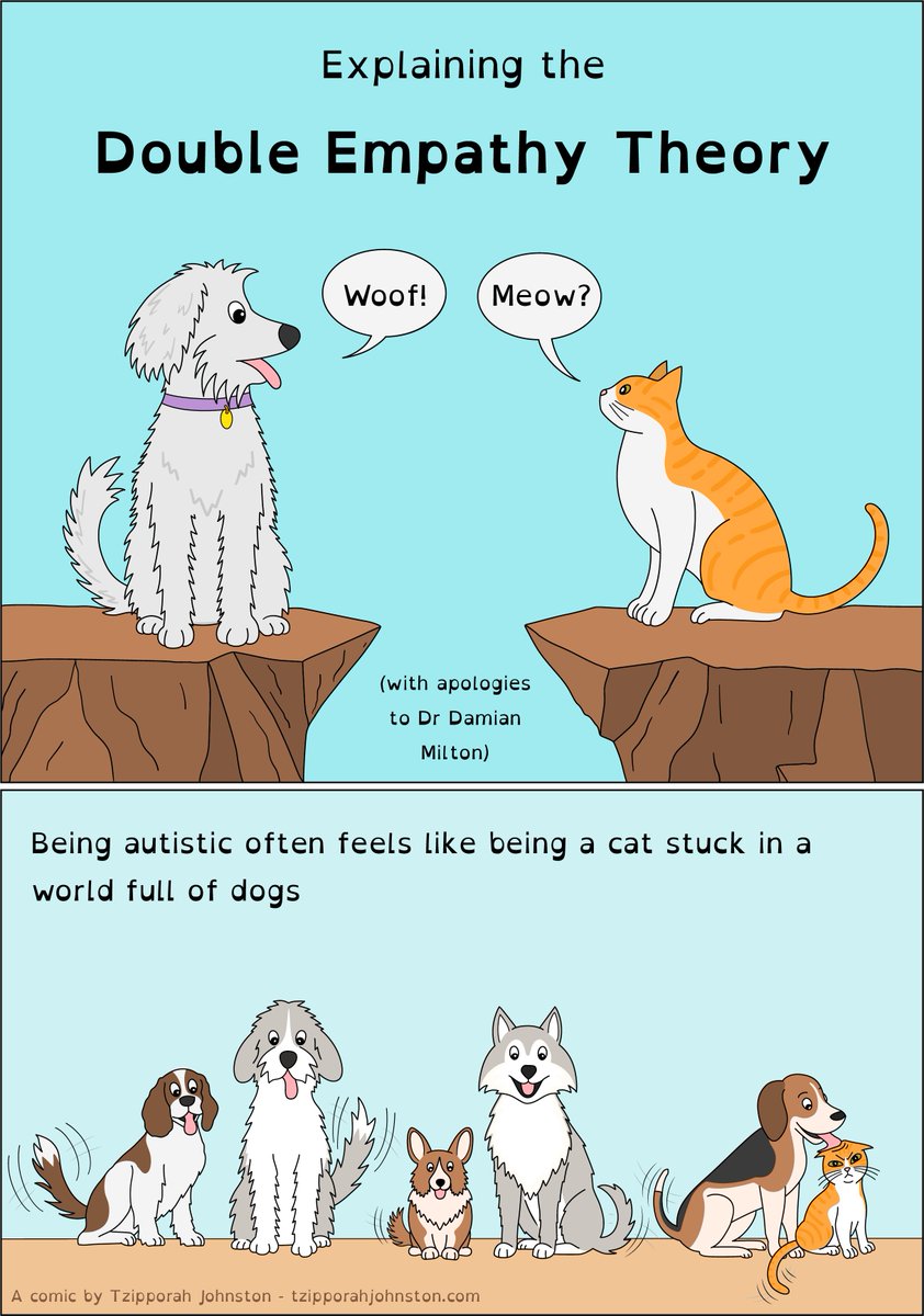 Tzipporah Johnston tweet media