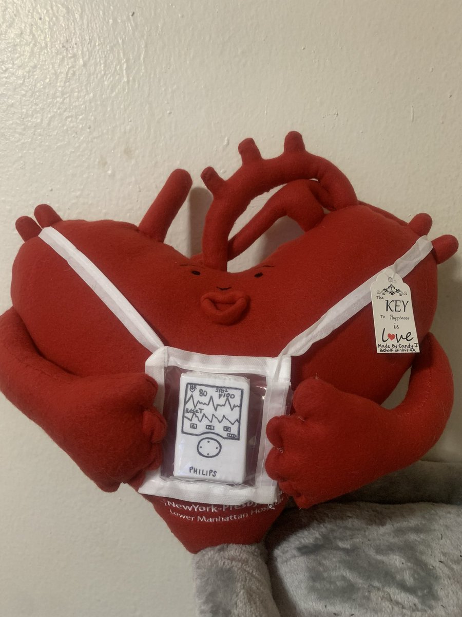 chrissiejbv's tweet photo. Meet Chester! Our entry for Share Your Heart Competition ❤️
Chester is inspired and created by team 4A - MS/Ortho/Tele. Adorable and Caring Personality. You need to meet him in person!
#AmericanHeartMonth #NYP #weputpatientsfirst #stayamazing #4Amazing https://t.co/5gId5XHLJe