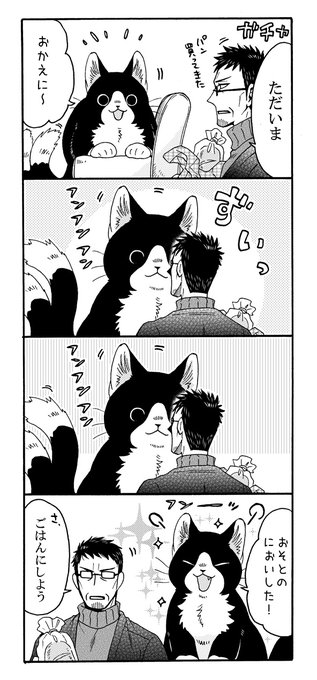 ねこまたと はなあいさつ🐱🌼
#猫の日2023 