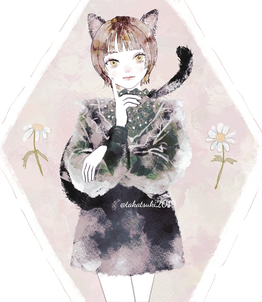 1girl solo animal ears tail cat ears flower short hair  illustration images