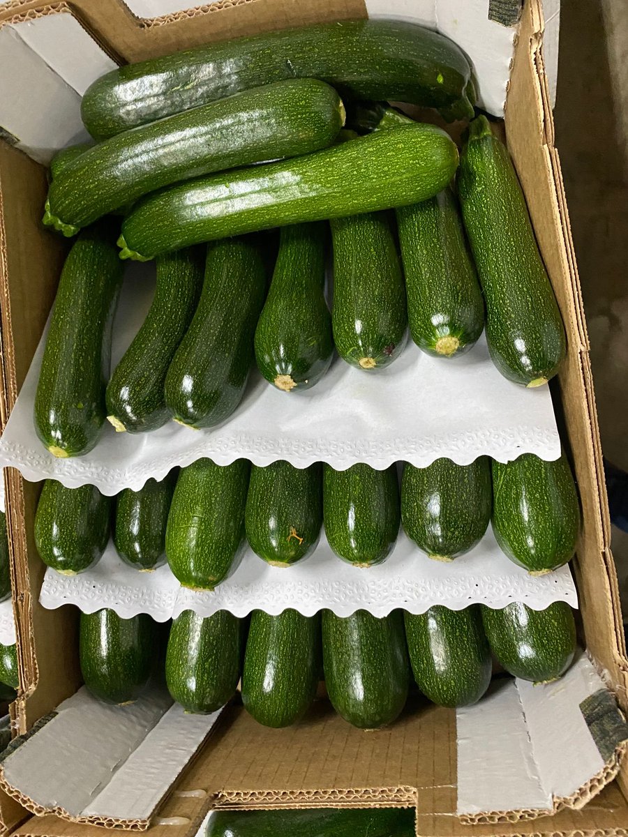 NaturaFirst's tweet photo. Courgettes✅, Red Chillies🌶️, Red Habaneros🥵 &amp; Heritage Mix Toms 🍅now with us! 🤩🚚  #NicolasGarden #Pepperfectness #Chillicious https://t.co/wvfnBC8SKN