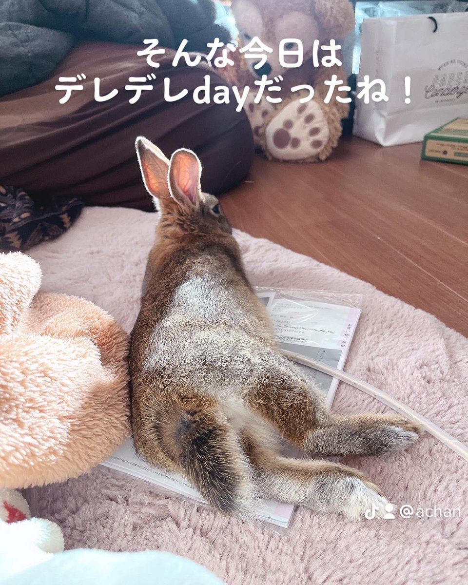 ATan845's tweet photo. 2023.02.22 https://t.co/0cj4EFnzSM