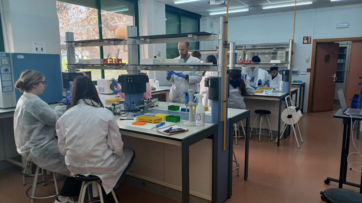 JconInv's tweet photo. Segunda sesión en Córdoba, 5 proyectos en colaboración con la Universidad de Córdoba. Play and Learn, robótica educativa, determinación especié en productos cárnicos, plantas y hierro y fósforo..@iesitaca @ies_grancapitan @IESMartinRivero https://t.co/8p3mn8ehjz