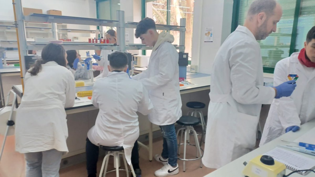 JconInv's tweet photo. Segunda sesión en Córdoba, 5 proyectos en colaboración con la Universidad de Córdoba. Play and Learn, robótica educativa, determinación especié en productos cárnicos, plantas y hierro y fósforo..@iesitaca @ies_grancapitan @IESMartinRivero https://t.co/8p3mn8ehjz