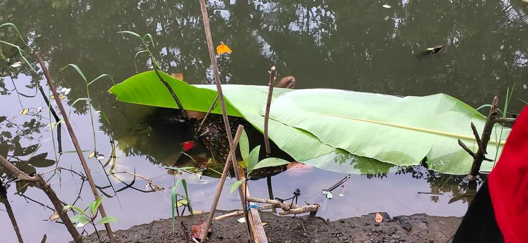 merapi_uncover's tweet photo. [Breaking News] Penemuan mayat di mangrove baros, Bantul. Ada info lain???
Dalam penanganan pihak terkait.| @Upil_Jaran2 https://t.co/Qpt7O3KLef