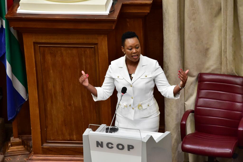 Ministry of Small Business Development🇿🇦 tweet media
