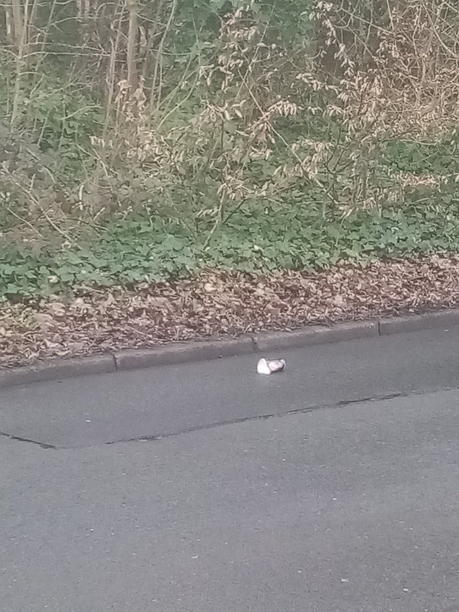 Pembasoc's tweet photo. Yesterday, our chair Helen spent 2 hours litter picking Chapel St. This morning @WiganCouncil bin crew empty bins and leave litter from bins blowing down the street. Takes 2 mins to pick up and put in back of lorry. https://t.co/iCSmD9A9ya