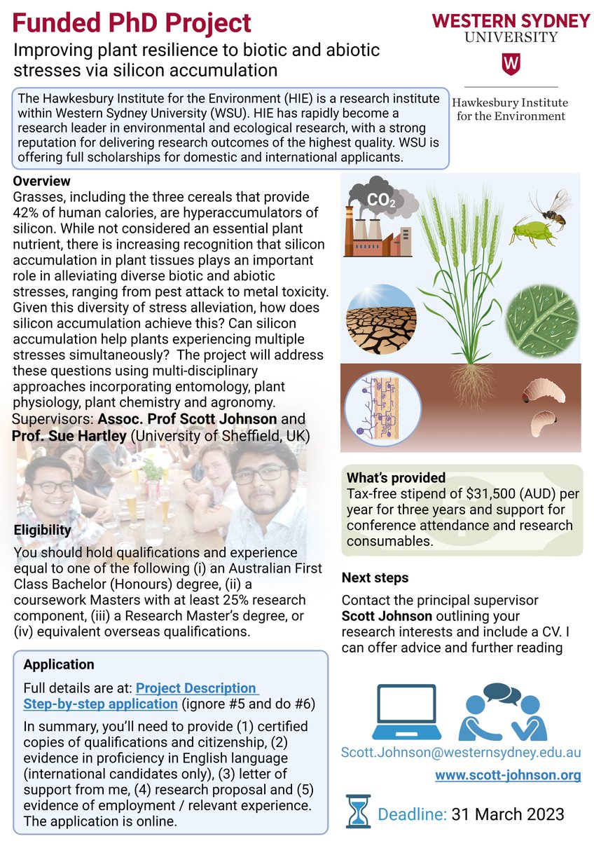 Professor Scott Johnson (@scottjohnsonlab) on Twitter photo New fully funded PhD project available. We're interested in whether silicon accumulation can help plants resist attack by herbivorous pests while they also experience abiotic stress. Fantastic opportunity to collaborate with <a href="/profSueHartley/">Sue Hartley</a>. #siliceousplants New fully funded PhD project available. We're interested in whether silicon accumulation can help plants resist attack by herbivorous pests while they also experience abiotic stress. Fantastic opportunity to collaborate with <a href="/profSueHartley/">Sue Hartley</a>. #siliceousplants